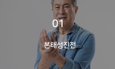 본테성진전